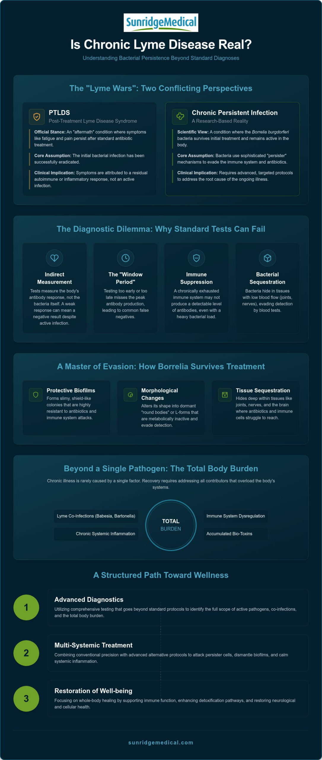 Is Chronic Lyme Disease Real? Clinical Evidence and the Science of Persistence
