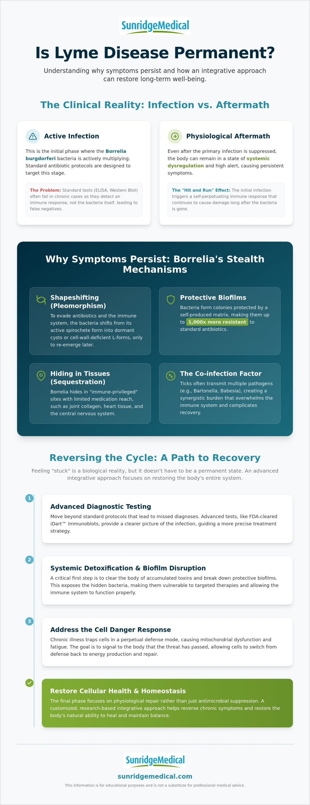 Is Lyme Disease Permanent? A Clinical Perspective on Chronic Recovery in 2026