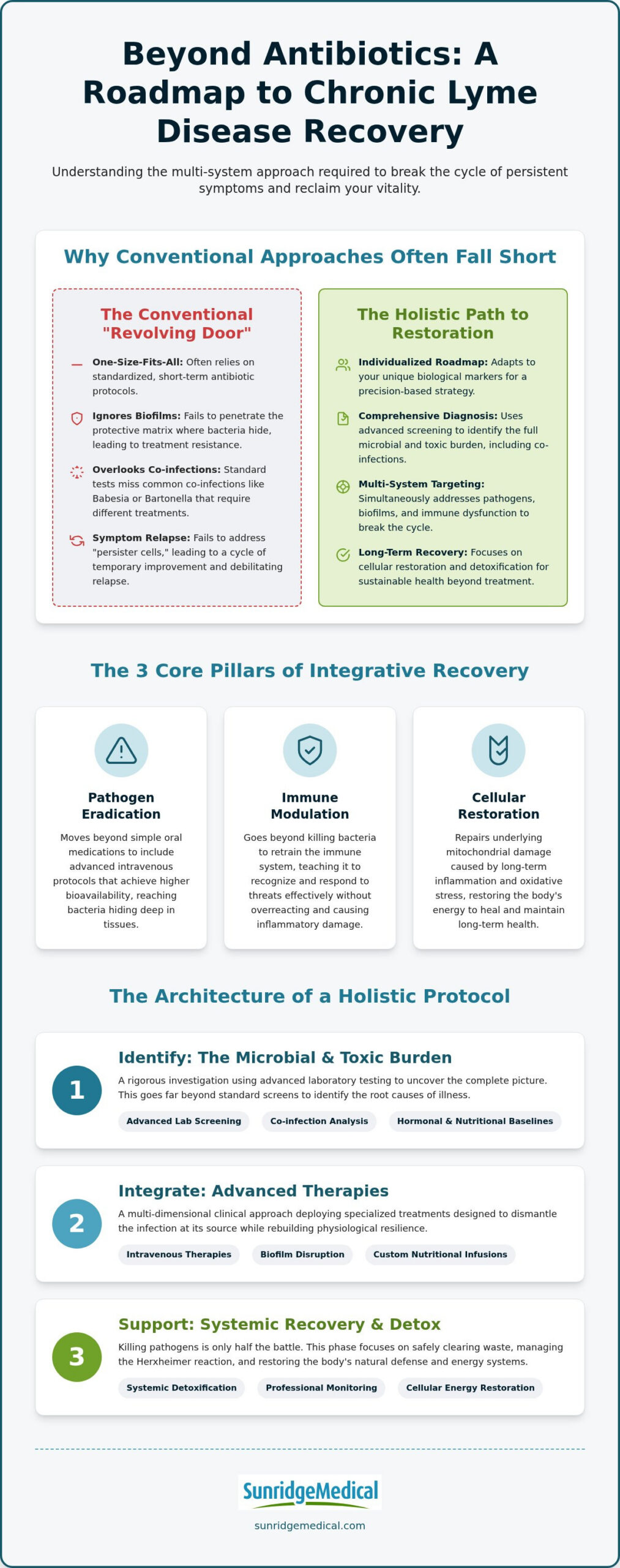 Holistic Lyme Disease Treatment Protocol: A Comprehensive Clinical Guide to Recovery