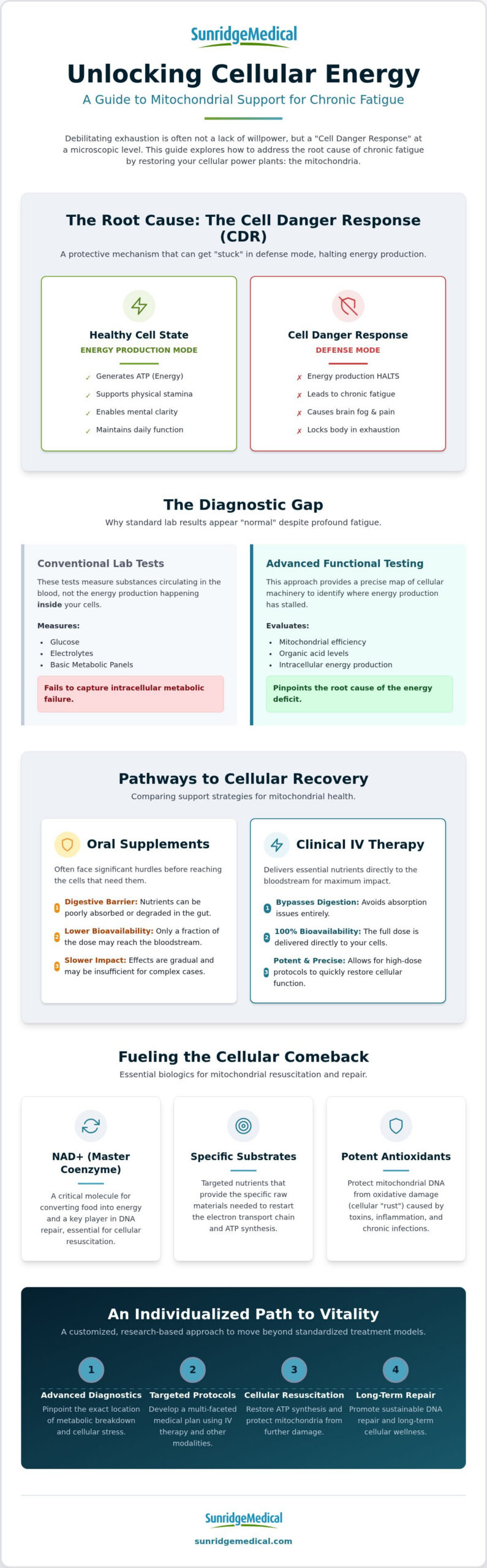 Mitochondrial Support for Chronic Fatigue: 2026 Guide