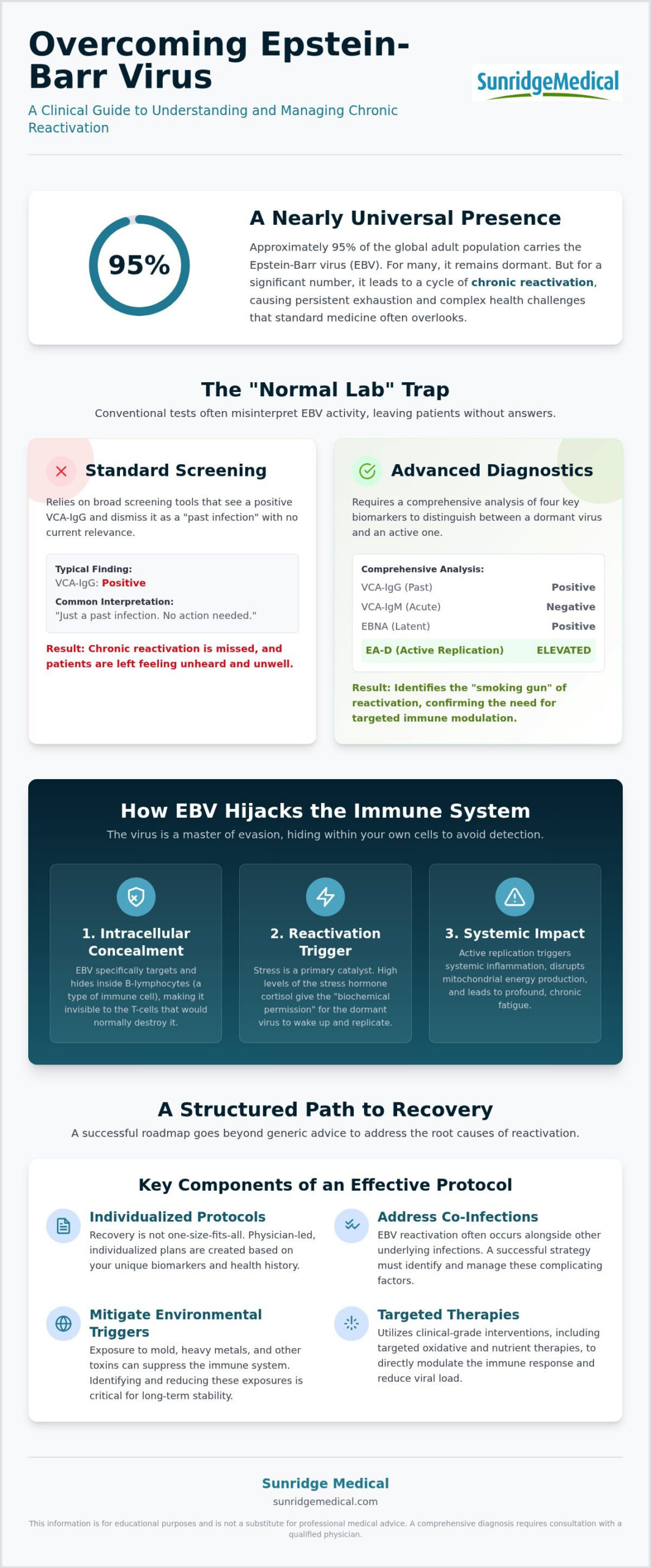 Treating Epstein-Barr Virus Naturally: A Clinical Guide to Integrative Recovery