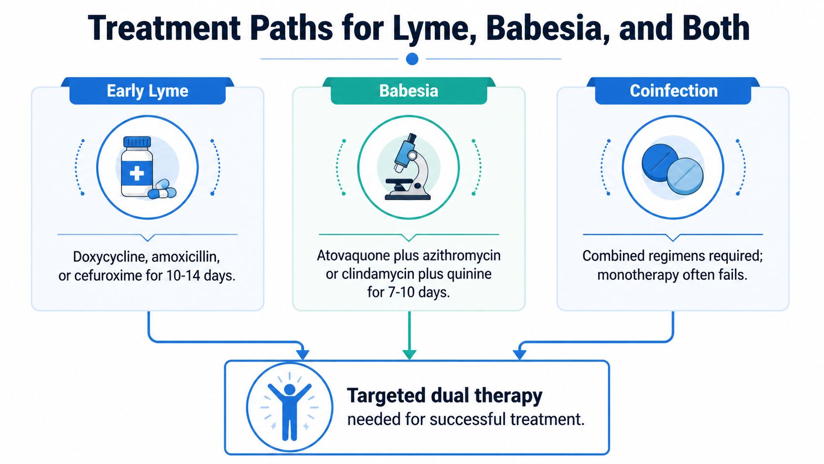 A medical infographic explaining treatment protocols for Lyme disease, Babesia infection, and their coinfection.