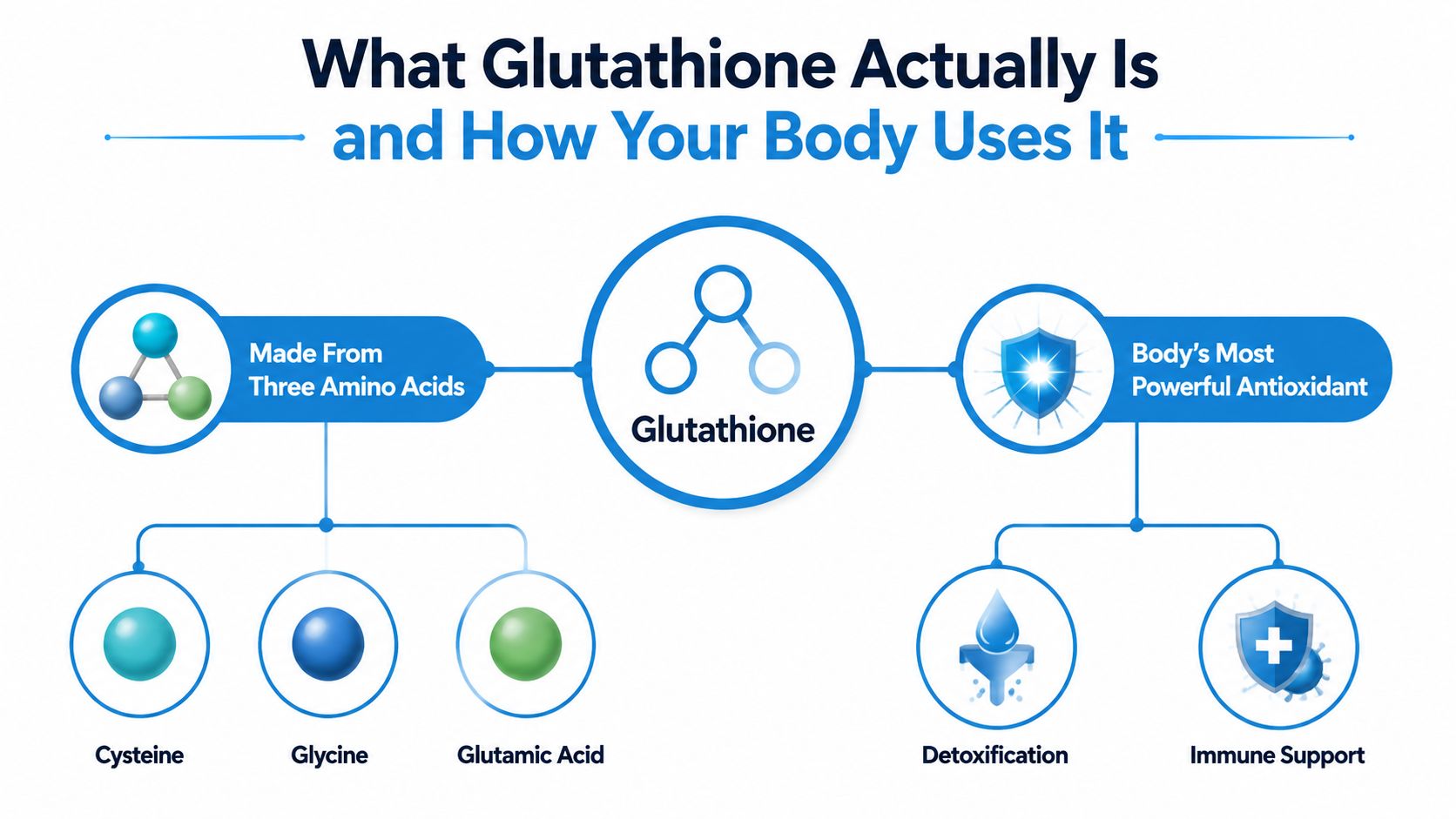 A diagram illustrating that glutathione is composed of three amino acids and functions as a powerful antioxidant.