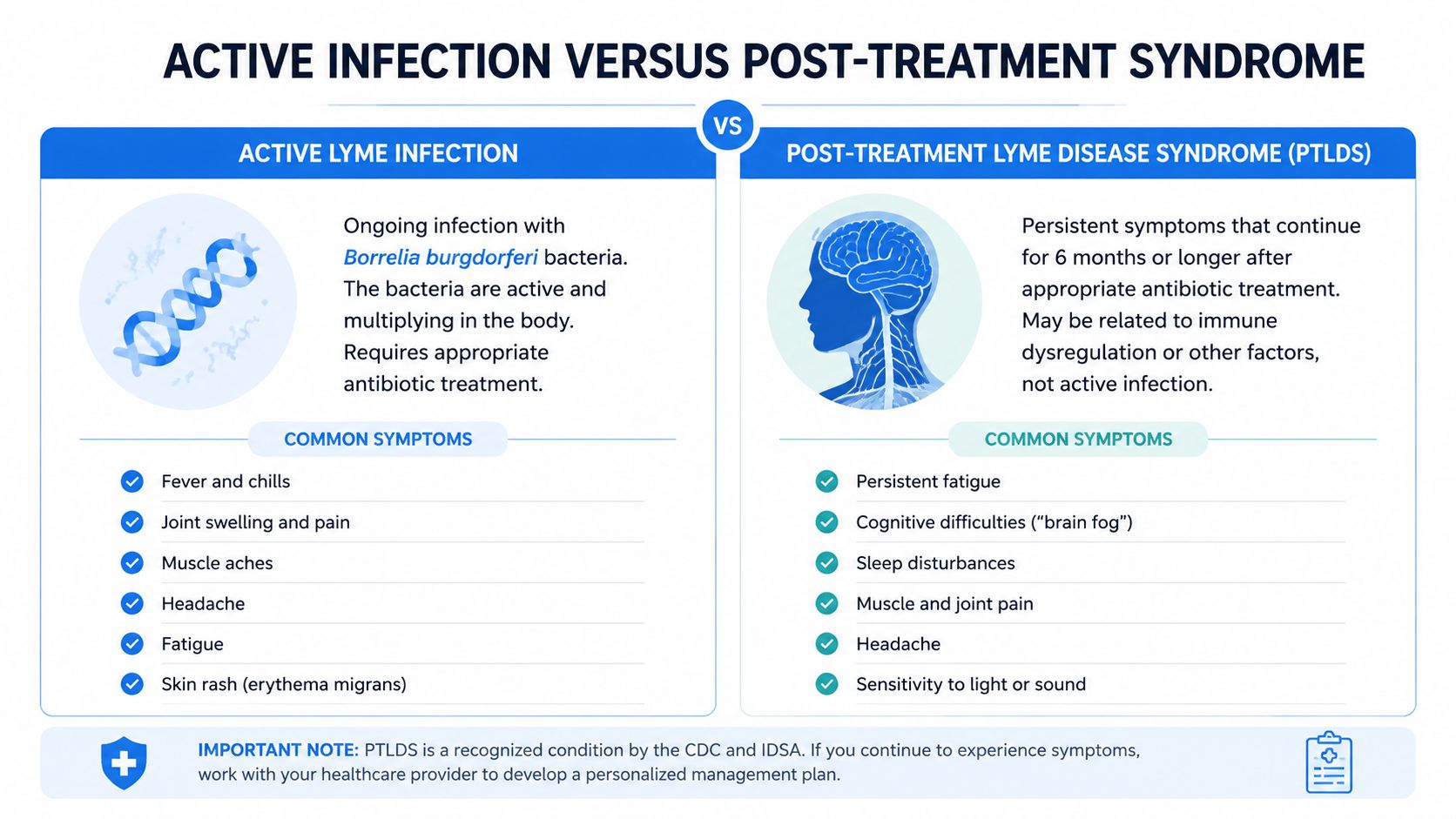 A comparison chart explaining the differences between active Lyme infection and post-treatment Lyme disease syndrome (PTLDS).