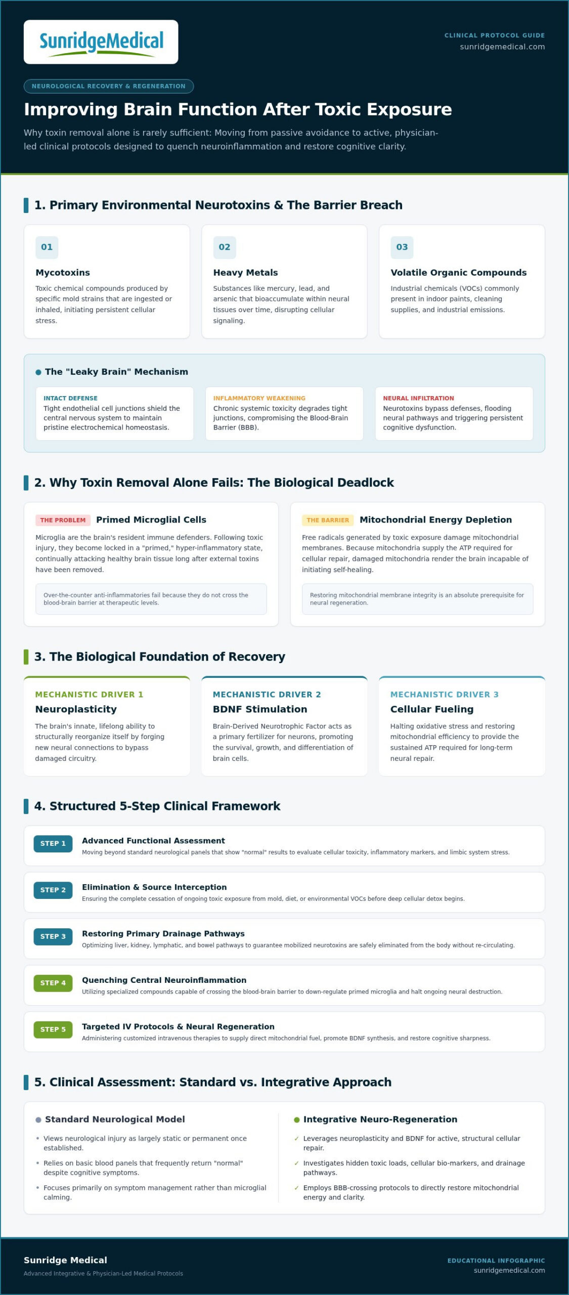 Improving Brain Function After Toxic Exposure: A Clinical Guide to Neurological Recovery