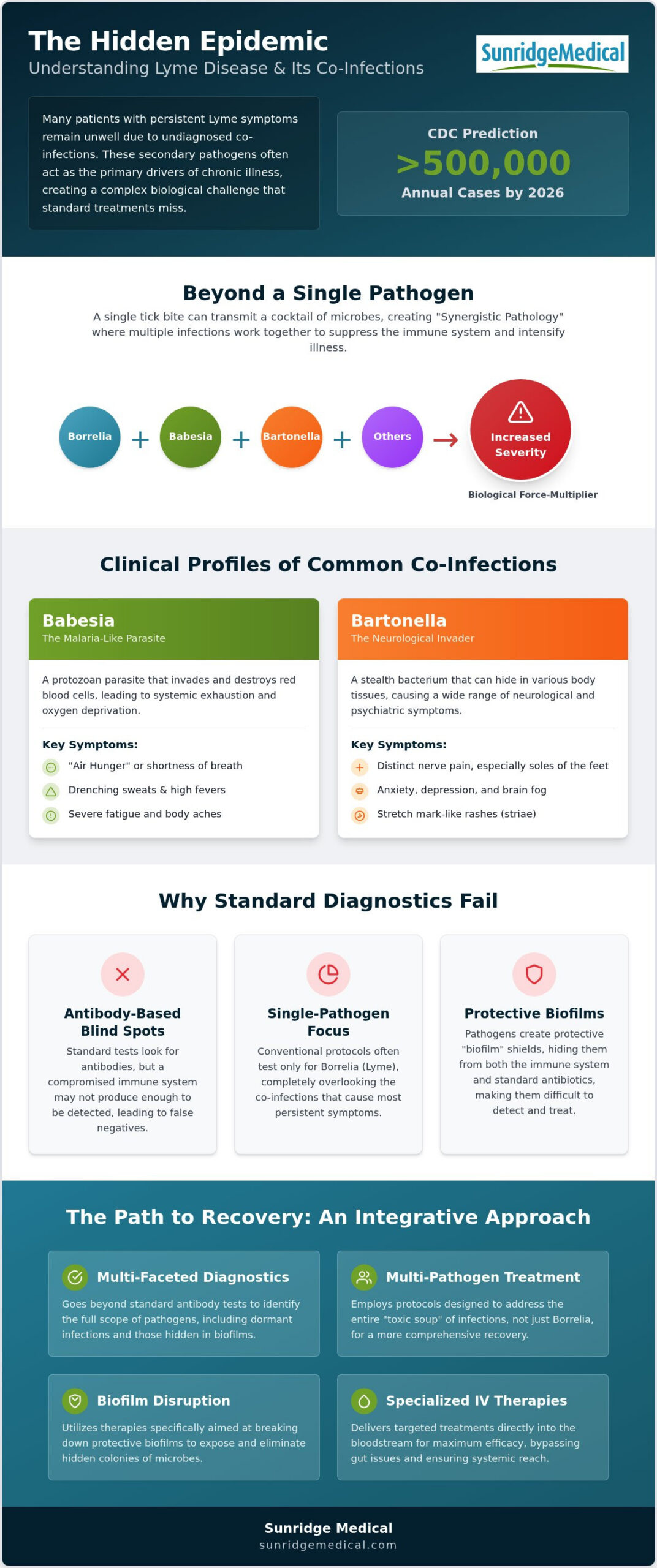 Lyme Co-Infection Symptoms: Clinical Guide to Pathogens