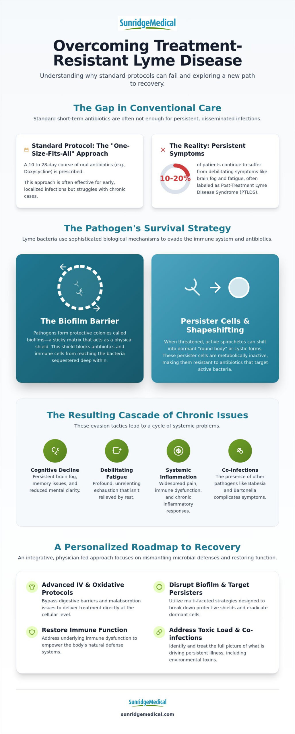 Overcoming Treatment Resistant Lyme Disease: An Integrative Clinical Guide (2026)