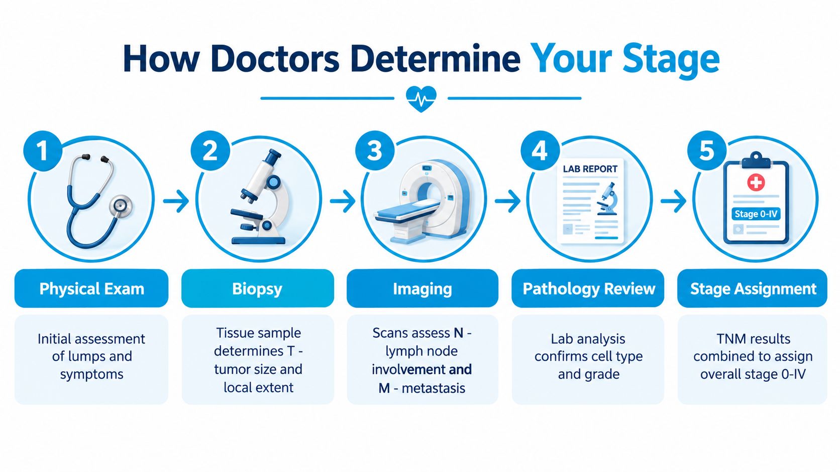 A flowchart showing the five steps of a cancer diagnosis, from physical exam to stage assignment.