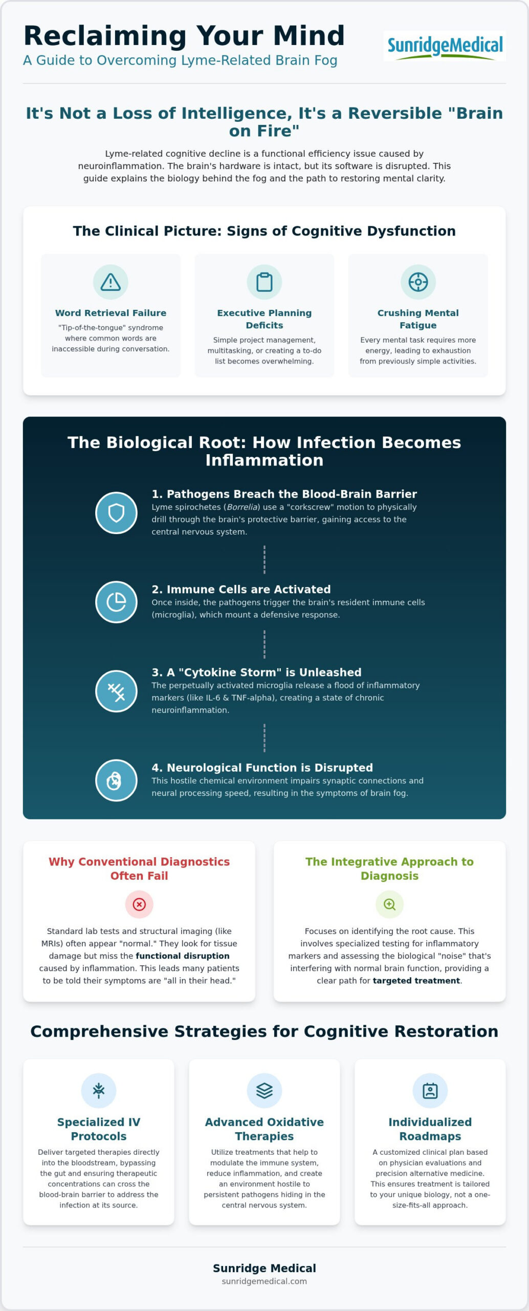 Lyme Disease Brain Fog Treatment: A Clinical Guide to Cognitive Restoration in 2026
