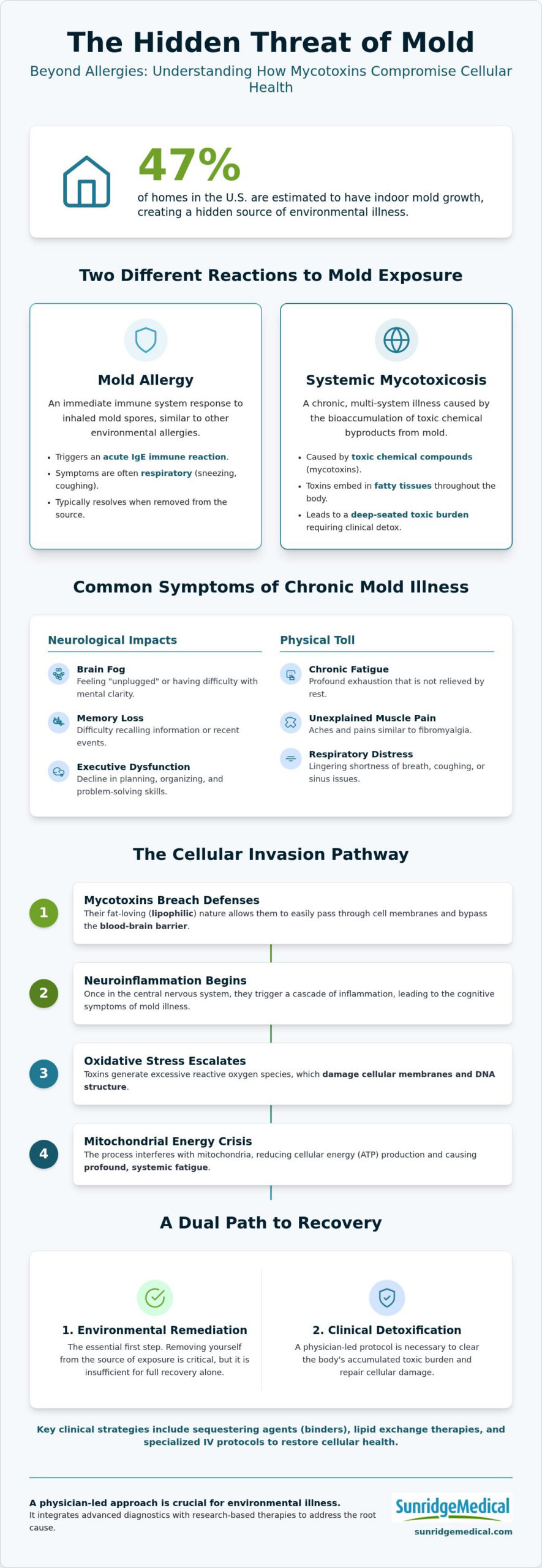 How to Detox from Mold: Mycotoxin Recovery Guide