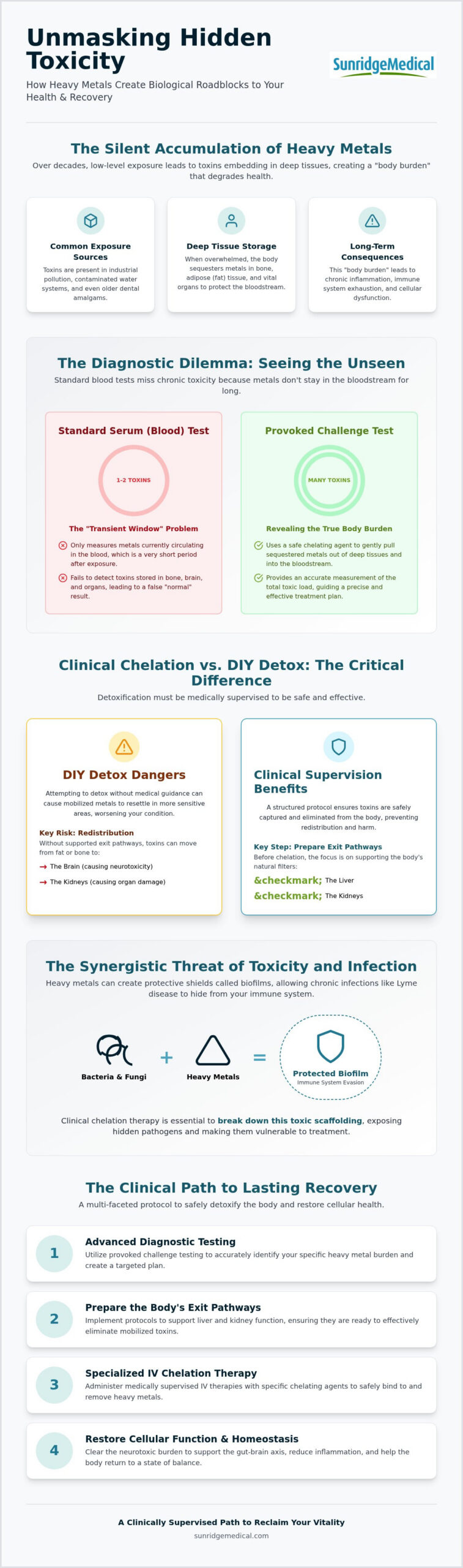 Heavy Metal Detoxification Therapy: A Clinical Guide to Integrative Recovery