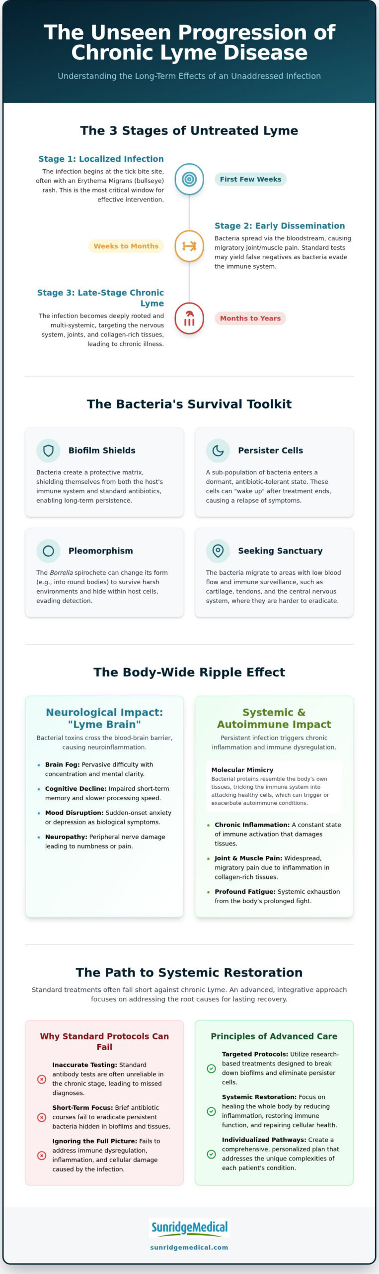 The Long-Term Effects of Untreated Lyme Disease: A Clinical Perspective