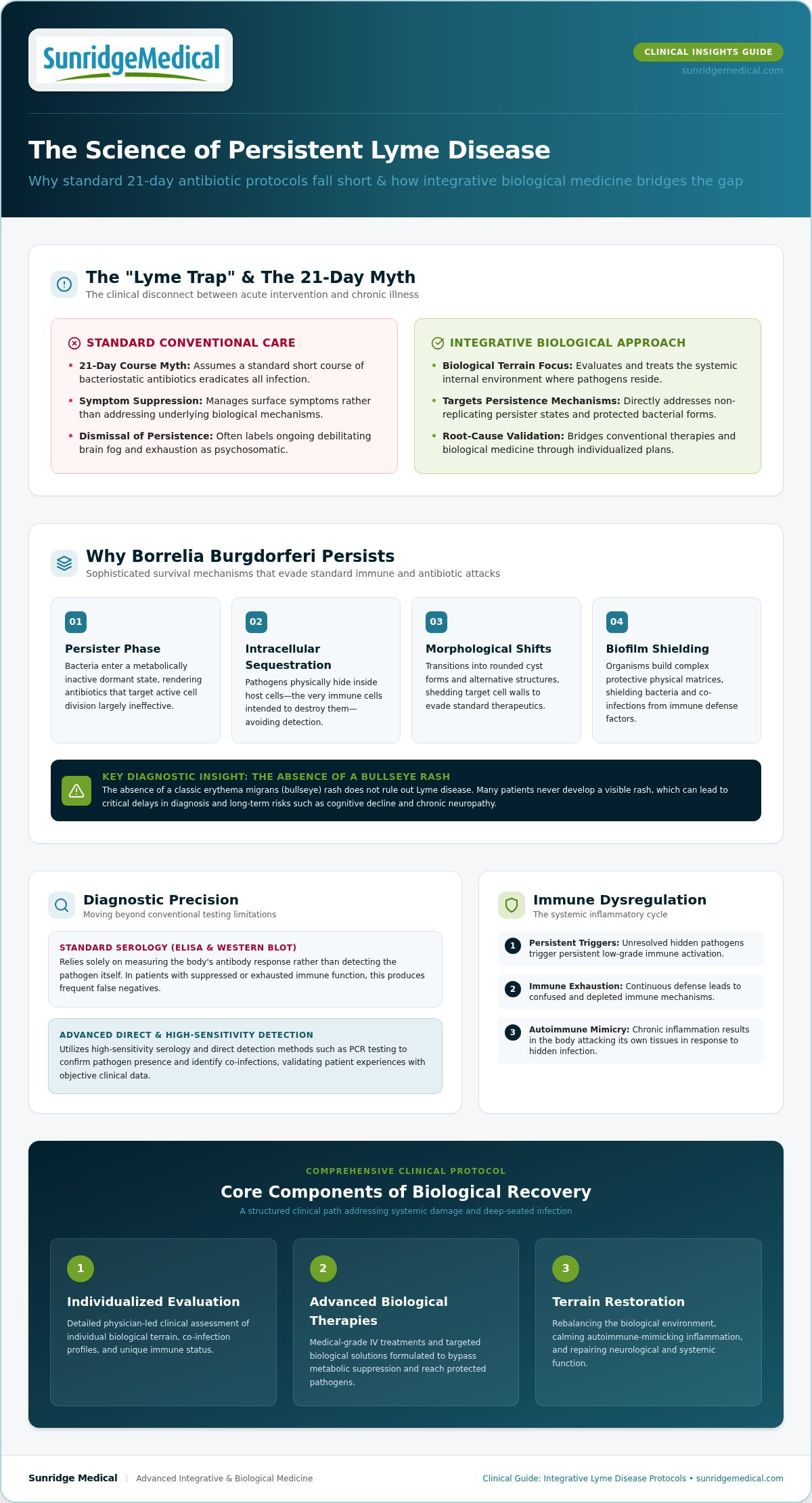 Integrative Lyme Disease Protocols: A Clinical Guide to Recovery in 2026