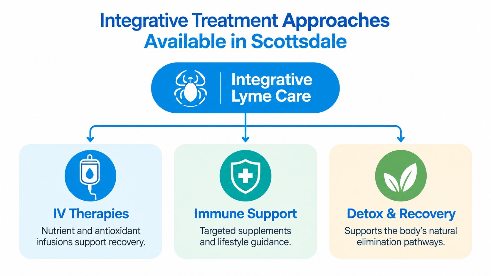 A diagram outlining integrative treatment approaches for Lyme disease in Scottsdale, including IV therapies, immune support, and detoxification.