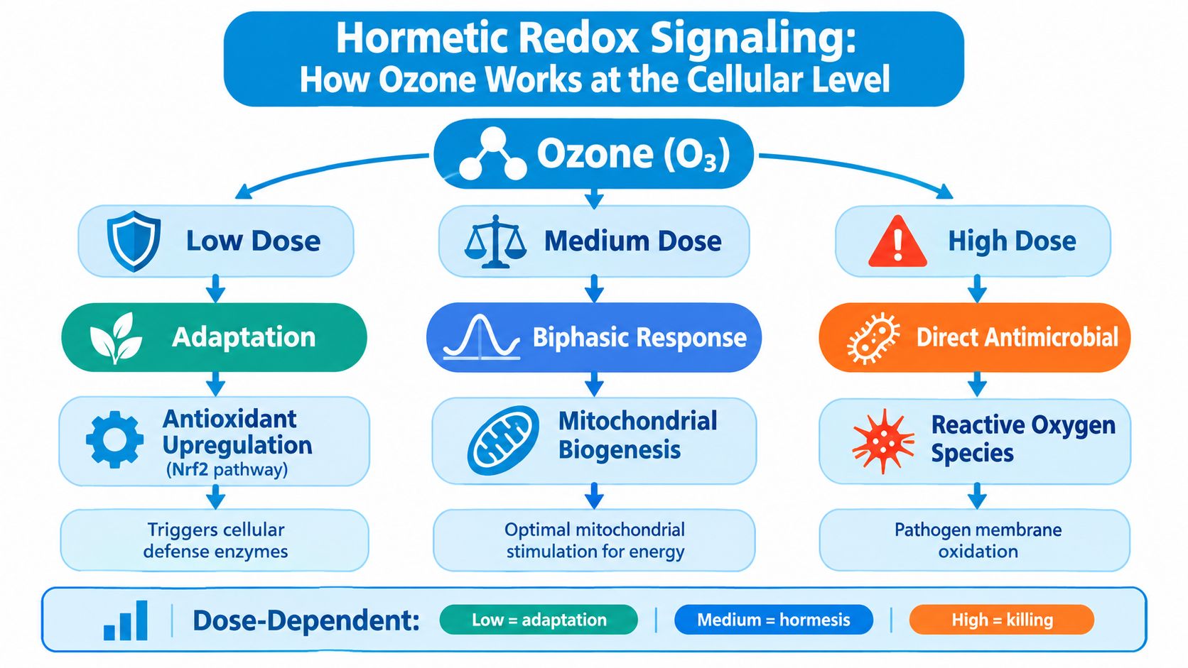 A diagram illustrating the dose-dependent effects of ozone therapy on cellular health, categorizing them into low, medium, and high.