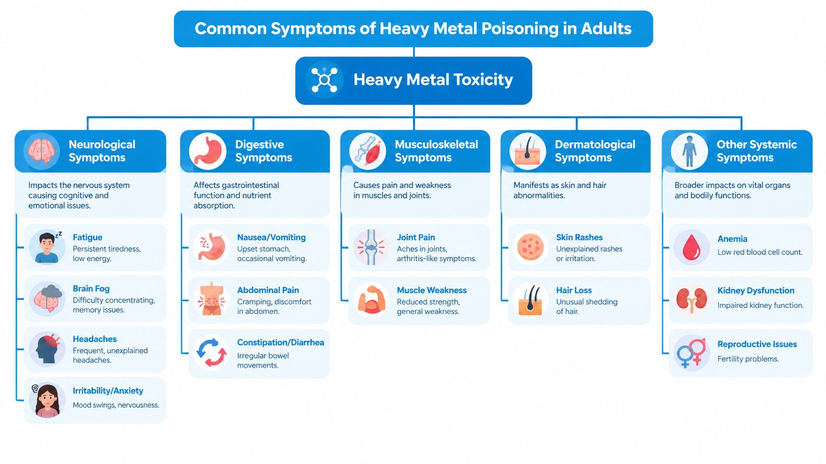 An infographic titled Common Symptoms of Heavy Metal Poisoning in Adults detailing neurological, digestive, musculoskeletal, and dermatological effects.