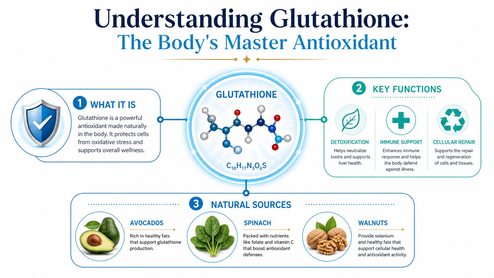 An infographic titled Understanding Glutathione explaining its definition, key functions, and natural dietary sources like avocados, spinach, and walnuts.